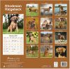 Picture of Rhodesian Ridgeback Wall Calendar 2025