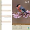 Picture of RSPB Inspiring Nature Photo Competition Wiro Wall Calendar 2025