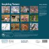 Picture of RSPB Inspiring Nature Photo Competition Wiro Wall Calendar 2025