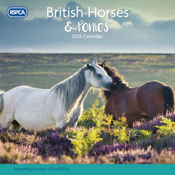 Picture of RSPCA British Horses & Ponies Wall Calendar 2025