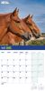 Picture of RSPCA British Horses & Ponies Wall Calendar 2025