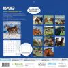 Picture of RSPCA British Horses & Ponies Wall Calendar 2025