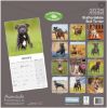 Picture of Staffordshire Bull Terrier Wall Calendar 2025