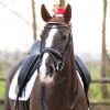 Picture of QHP Christmas Hat Horse Antler Red Full