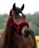 Picture of QHP Headcollar Alaska Burgundy / Black