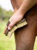 Picture of Le Mieux Flexi Scrubbing Brush Alpine