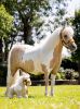 Picture of Le Mieux Mini Pony Lemon