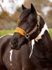 Picture of Le Mieux Vogue Fleece Headcollar & Leadrope Alpine