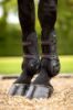 Picture of Le Mieux Motion Cool Tendon Boot Black Large