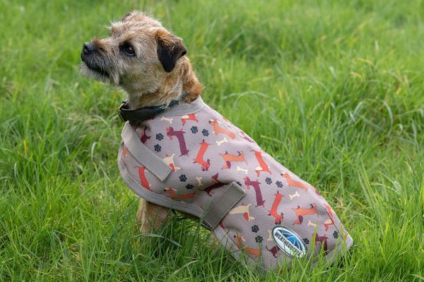 Picture of Weatherbeeta Comfitec Essential Dog Coat Dachshund Print