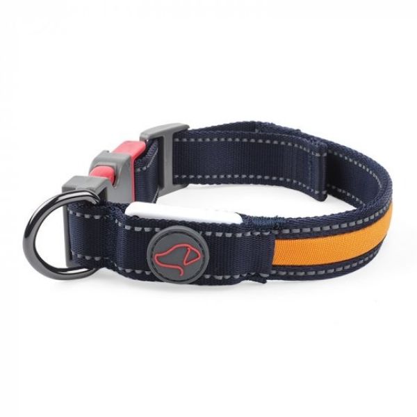 Picture of Flash & Go Rechargeable Collar