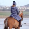 Picture of Shires Aubrion Halcyon Long Coat Blue