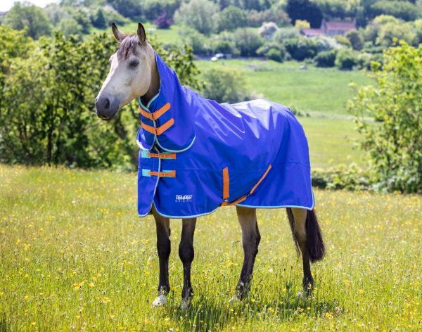 Picture of Shires Tempest Original 50g Combo Turnout Rug Royal