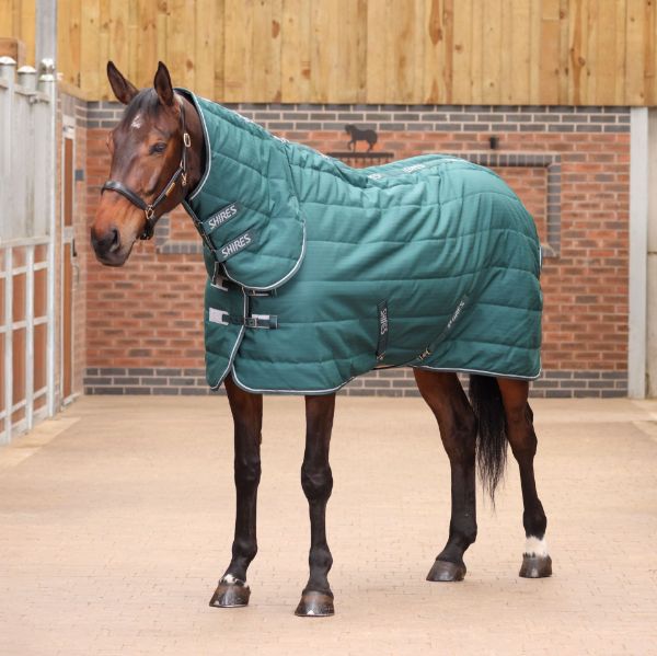 Picture of Shires Tempest Original 200g Stable Rug & Neck Emerald