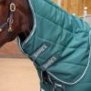 Picture of Shires Tempest Original 200g Stable Rug & Neck Emerald