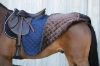 Picture of Kentucky Horsewear Quarter Rug Navy 160g Large