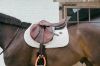 Picture of Kentucky Horsewear Saddle Pad With Plaited Cord Show Jumping Beige Full