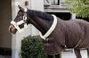 Picture of Kentucky Horsewear Show Rug 160g Brown