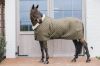 Picture of Kentucky Horsewear Show Rug 160g Kaki