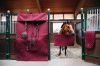 Picture of Kentucky Horsewear Stable Guard Bordeaux