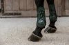 Picture of Kentucky Horsewear Tendon Boots Bamboo Dark Green