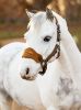 Picture of Le Mieux Vogue Fleece Headcollar & Leadrope Alpine Mini