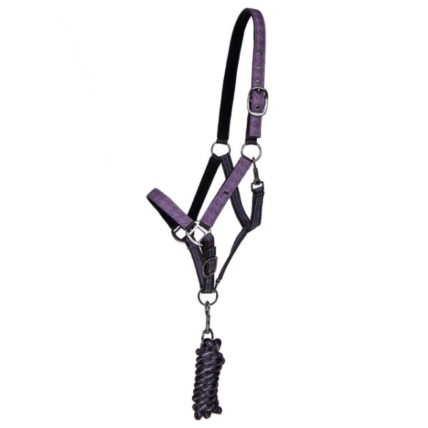 Picture of QHP Headcollar Set With Turnout Collection Amethyst