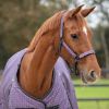 Picture of QHP Headcollar Set With Turnout Collection Amethyst