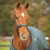 Picture of QHP Headcollar Set With Turnout Collection Emerald