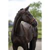 Picture of HKM Sports Bridle Marrakesh Dark Brown