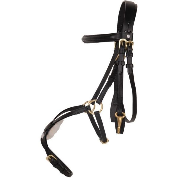 Picture of HKM Sports Bridle Mexican Style With Padded Grackle Black