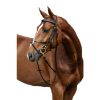 Picture of HKM Sports Bridle Mexican Style With Padded Grackle Black