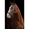 Picture of HKM Sports Bridle Nicole Black