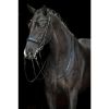 Picture of HKM Sports Double Bridle Grace Black