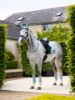 Picture of Le Mieux Loire Classic Dressage Square Aqua L