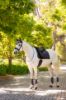 Picture of Le Mieux Loire Classic Dressage Square Dusk L