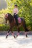 Picture of Le Mieux Loire Classic Dressage Square Peony  L