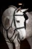 Picture of Le Mieux Stitched Hunter Bridle With Laced Reins Black / Silver 