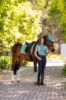 Picture of Le Mieux Suede Dressage Square Lagoon L