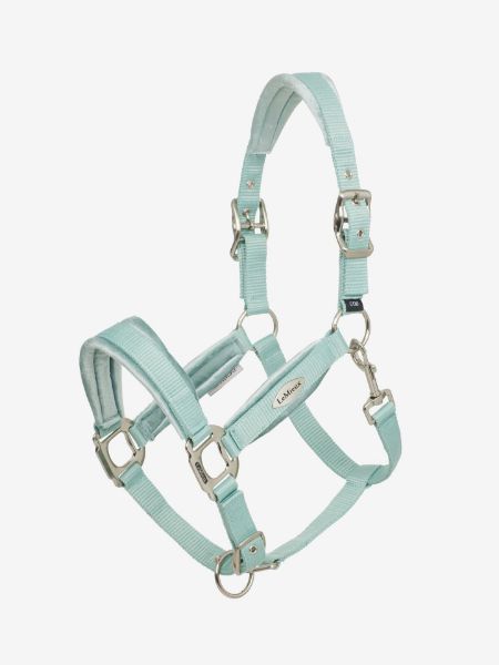 Picture of Le Mieux Versailles Headcollar Aqua