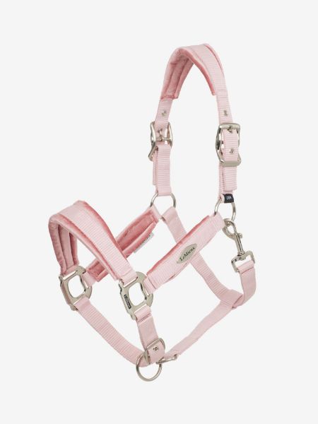 Picture of Le Mieux Versailles Headcollar Blossom