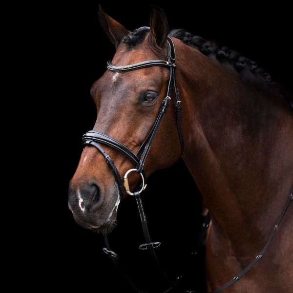 Picture of HV Polo Bridle HVPLegacy Black