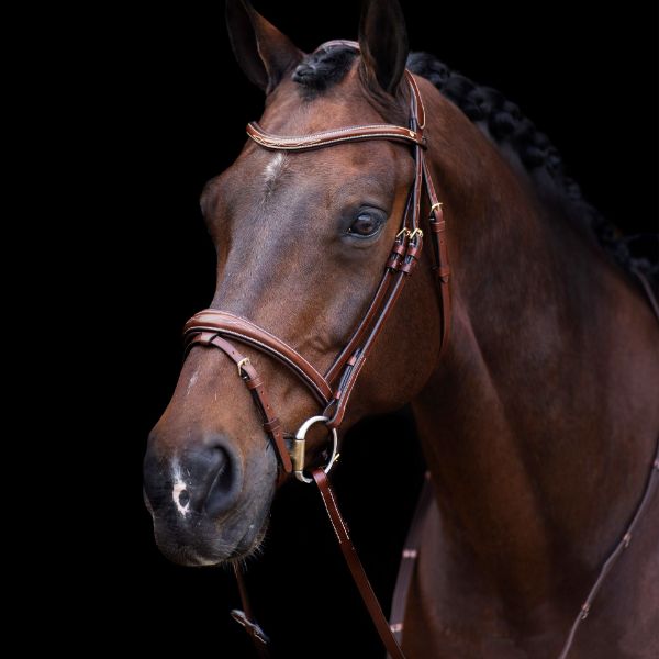 Picture of HV Polo Bridle HVPLegacy Brown