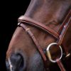 Picture of HV Polo Bridle HVPLegacy Brown