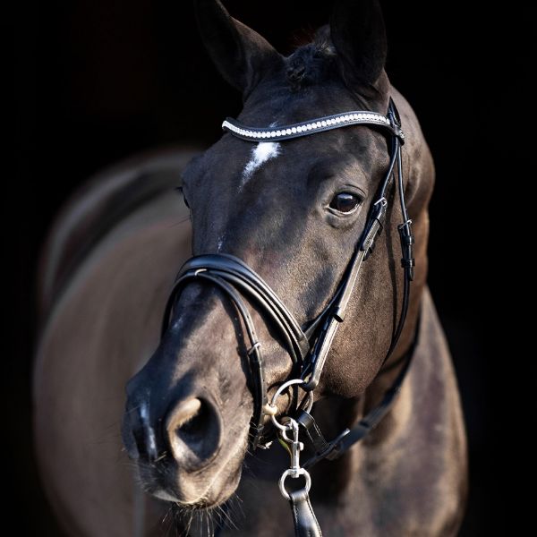 Picture of HV Polo Bridle HVPLegacy Deluxe Black