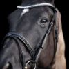 Picture of HV Polo Bridle HVPLegacy Deluxe Black