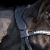 Picture of HV Polo Bridle HVPLegacy Deluxe Black