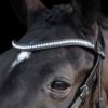 Picture of HV Polo Bridle HVPLegacy Deluxe Black