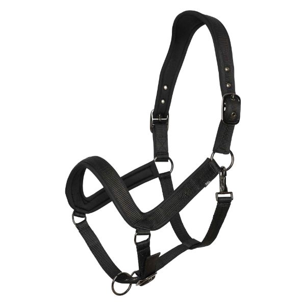 Picture of HV Polo Headcollar HVPEssential Black