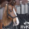 Picture of HV Polo Headcollar HVPEssential Black